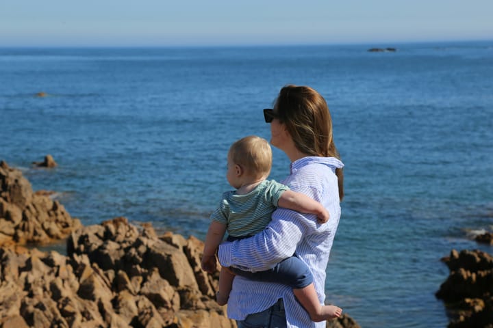 Parent Case Study